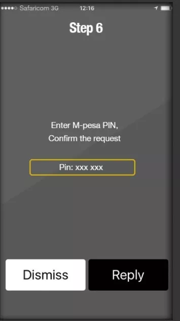 Mpesa PIN
